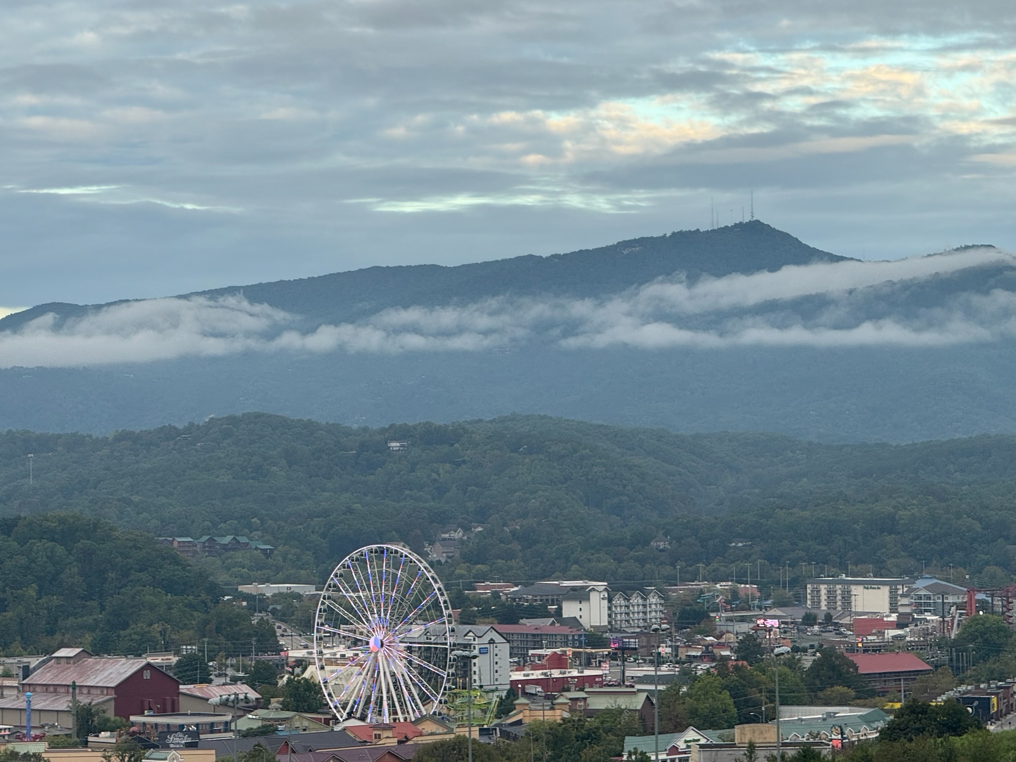 8559B9D2-7564-40CF-9674-ED2C131511EA